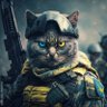 たま マーク2 profil fotoğrafı