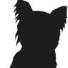 Profilbild von キャロ