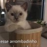 É o Uchoa 的头像