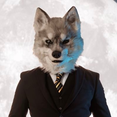 Sr. Gado 🐺👔✨'s profile picture