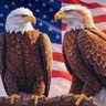 🇺🇸 ❤️ J Dawg ❤️ 🇺🇸 profil fotoğrafı