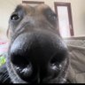 Profilbild von WONG