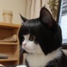 马拉拉_3 profil fotoğrafı