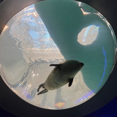 IngridFromSpace's profile picture