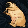Coffee's profile picture