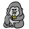 哲学を愛するゴリラ's profile picture