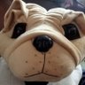 KINGESTAN's profile picture