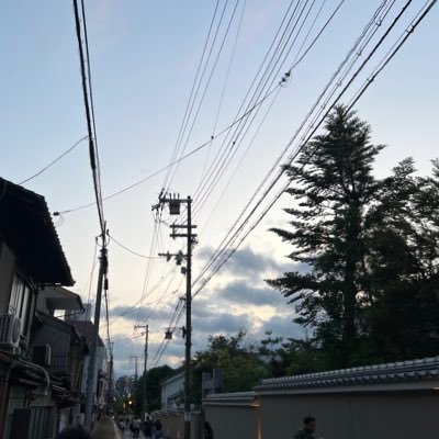 hvolpur_ys's profile picture
