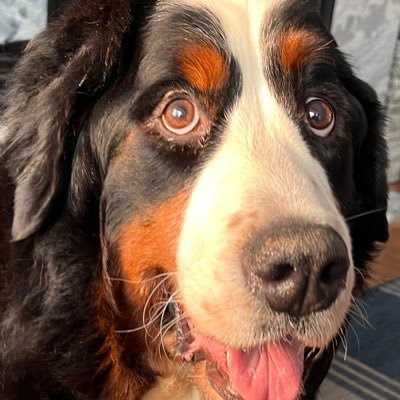 Kathy Zurcher💜's profile picture