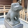 キシモト profil fotoğrafı