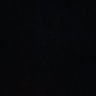 boutbuzz01.0's profile picture