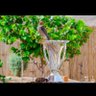 Фото профиля متعب ابو غازي