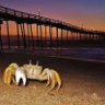 Фото профиля William Duggan