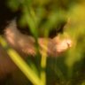 玫è ðððð© ïž âæ§é³(@roune_camera5) profil fotoÄrafı