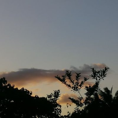Charthoughts8's profile picture