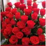 sirenita🦋 🌹🌹🌹🌹🌹♥️♥️♥️🐱🐱🌈 的头像