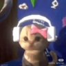 Profilbild von momo