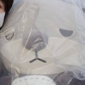 pengin454545's profile picture