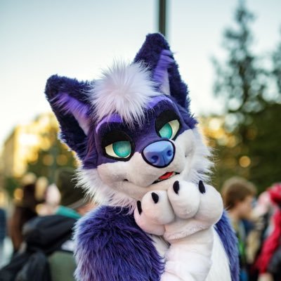 dexterity ➡️ BFLC 🏞️'s profile picture
