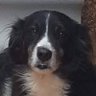 Luister's profile picture