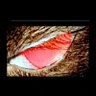 زياد توفيق's profile picture