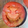 Фото профиля charlTomato