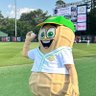 HamptonFarms Peanuts ® Brand profil fotoğrafı