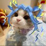 AriiZsen_ 的头像