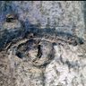 Фото профиля Panda monium