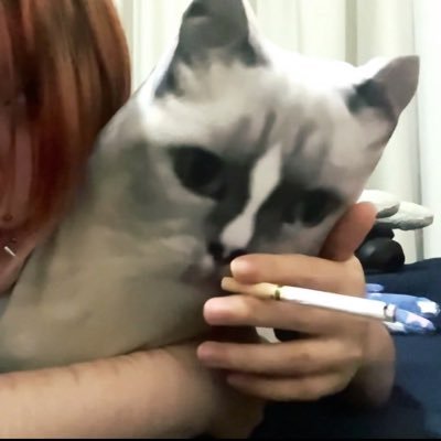shu_fan0228's profile picture
