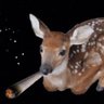 Фото профиля yve 🦌