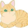 BOB-CAT profil fotoğrafı