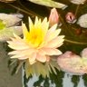 Фото профиля Shanthi Seeker