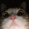 t3ddy profil fotoğrafı