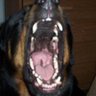 Profilbild von Ken T