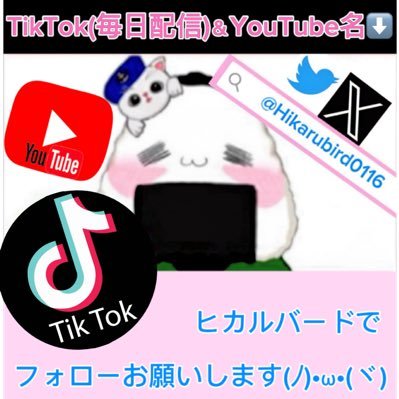 Hikarubird0116's profile picture