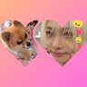 ようこ🐾 profil fotoğrafı