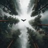 Фото профиля Kemosabe