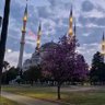 GS01020 profil fotoğrafı