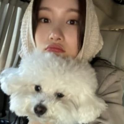 jung chaeyeon feed's profile picture