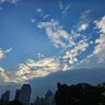 乌鸦 的头像