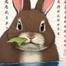 zukipon 的头像