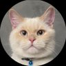 PishiX🎗️'s profile picture