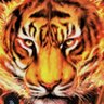 ابو ياسين profil fotoğrafı