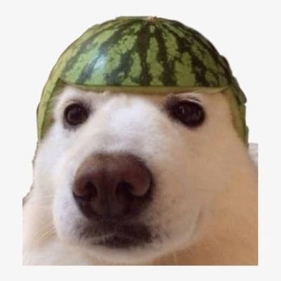 SWF˚'s profile picture