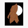 DStar's profile picture