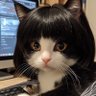 hawa's profile picture