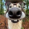 Profilbild von Joker