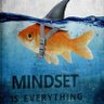 Profilbild von Money Mindset