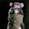 JimmyZimm's profile picture